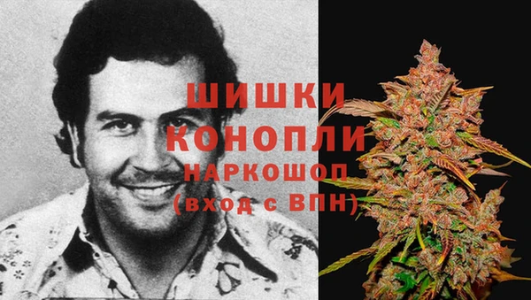 гашик Кинешма