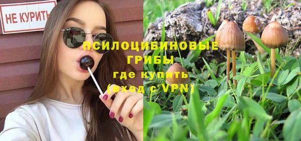 круглые Козловка