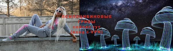 гидра Киренск