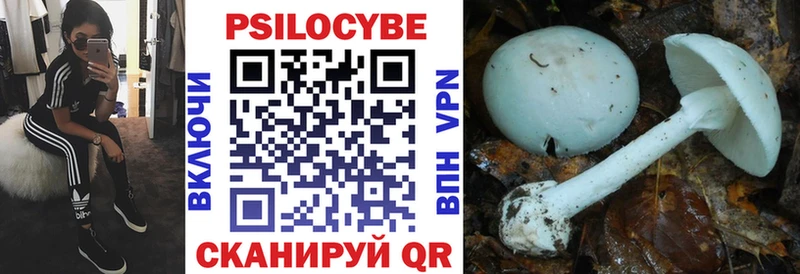 Псилоцибиновые грибы Psilocybe Асбест